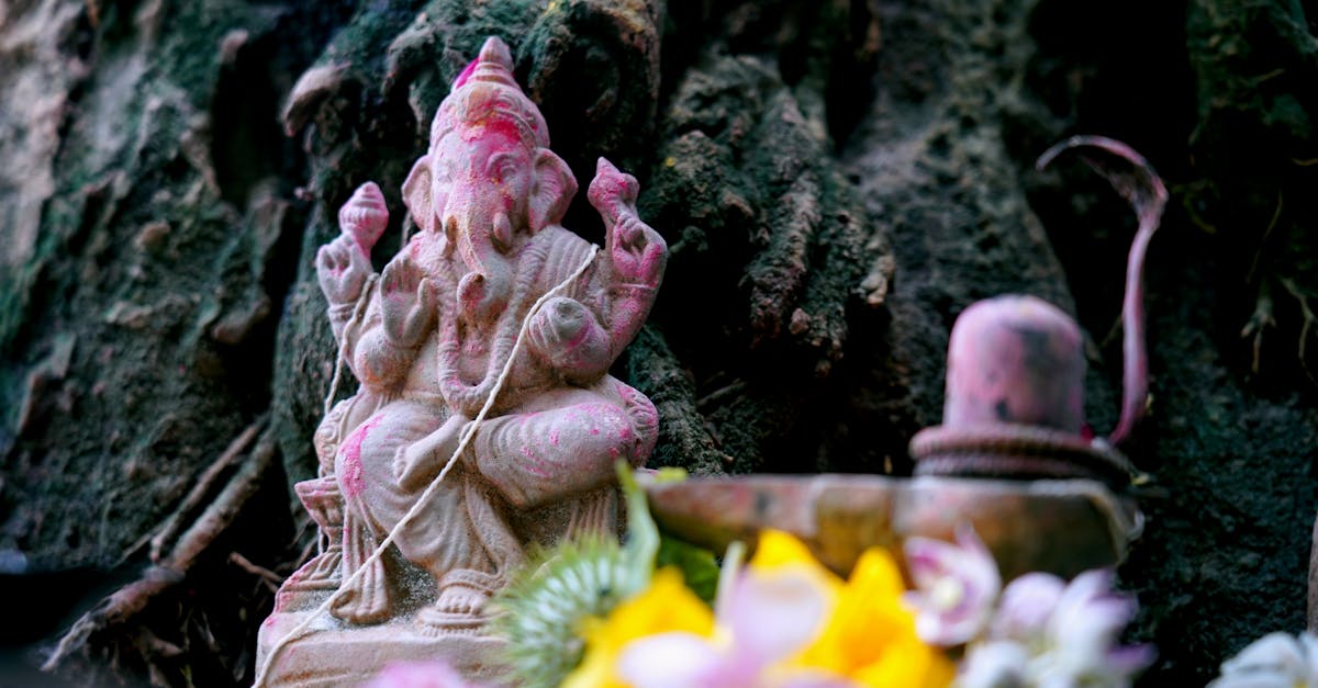 découvrez art roots, une exploration captivante des origines et des influences de l’art à travers les époques et les cultures du monde.