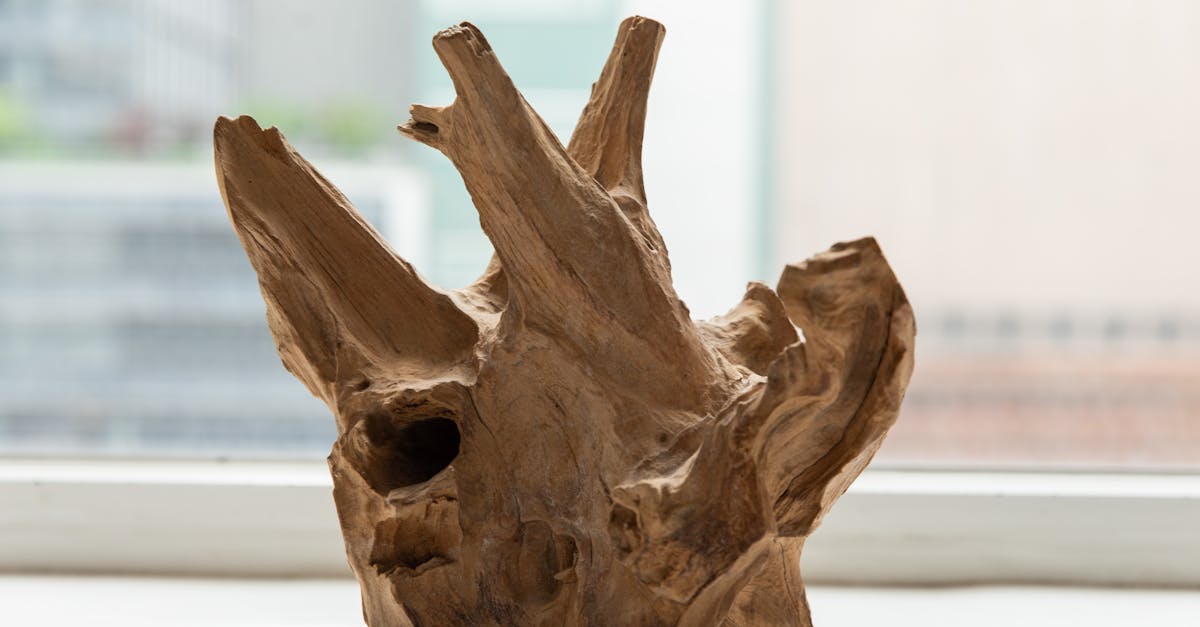 découvrez comment les racines artistiques influencent la créativité, l’expression individuelle et l’héritage culturel à travers différents courants et époques de l’art.