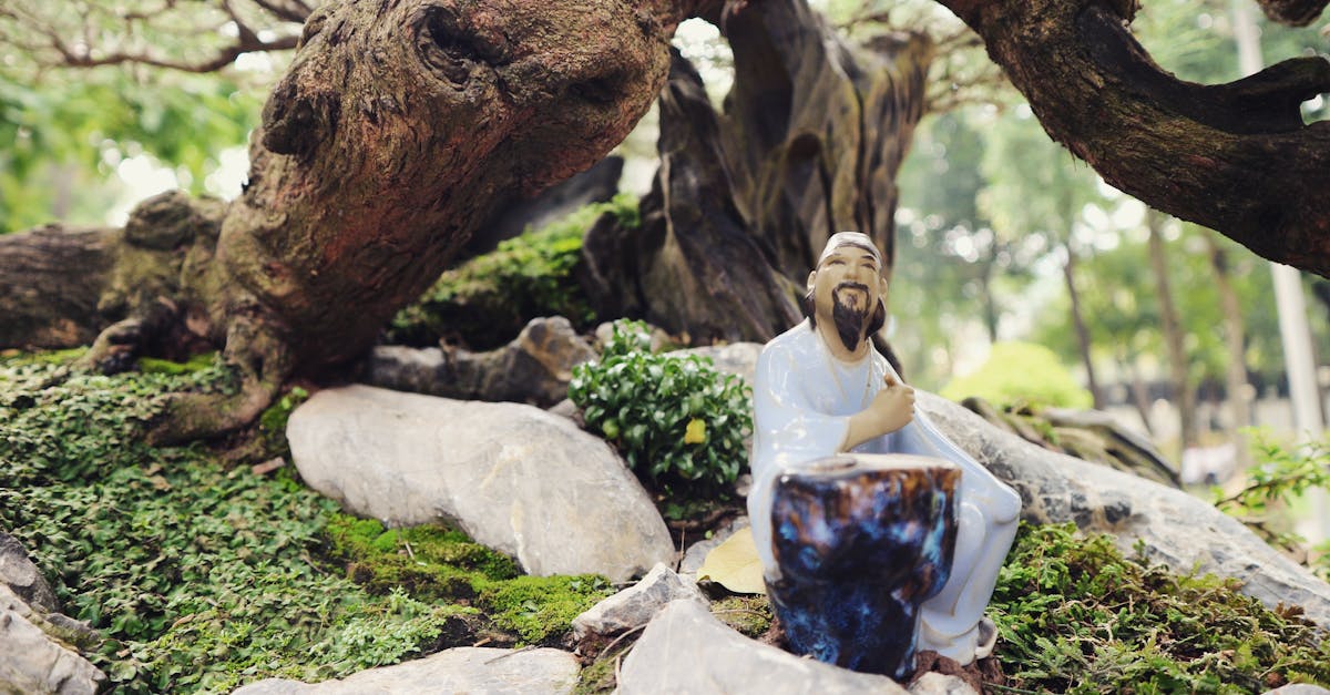 découvrez l'essence de la créativité avec 'artistic roots' : plongez dans l'origine et le parcours des artistes, explorez leurs inspirations et les influences culturelles qui façonnent leur art.