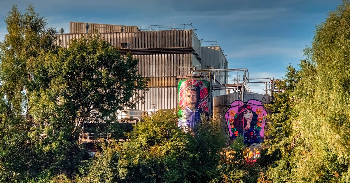 découvrez l’art contemporain à travers ses tendances, artistes et œuvres marquantes. plongez dans un univers créatif, innovant et inspirant à la croisée des courants artistiques modernes.