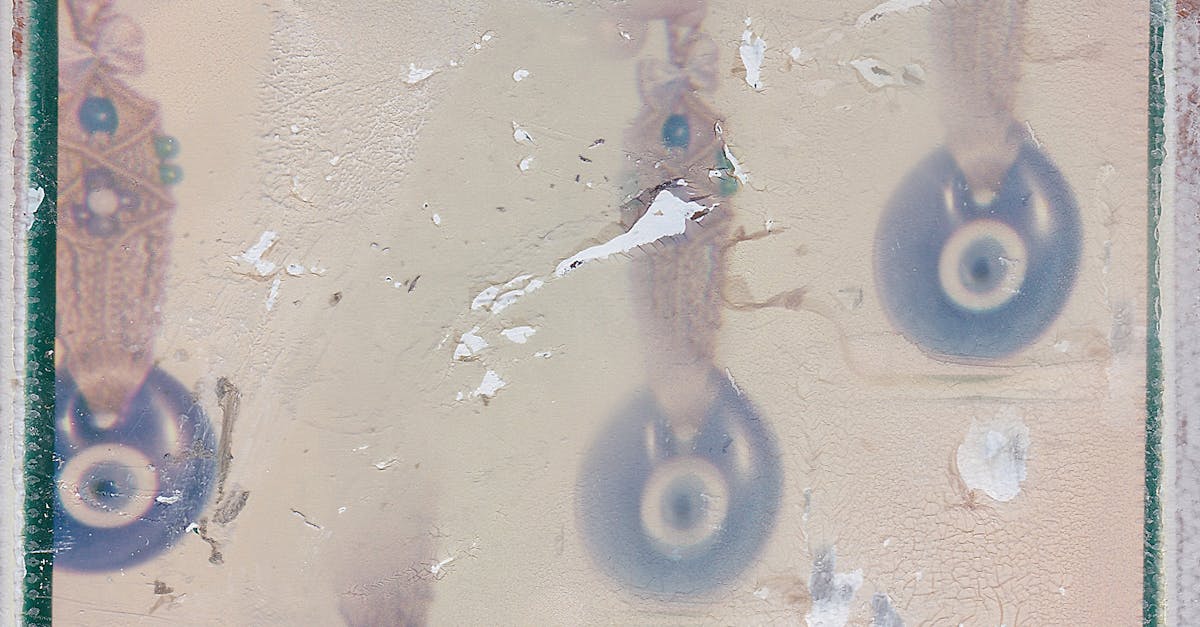 découvrez l'art populaire, une expression artistique authentique reflétant les traditions, le savoir-faire et la culture des communautés à travers des œuvres uniques et colorées.