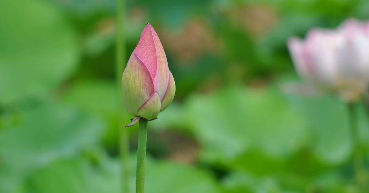 découvrez la richesse du symbolisme, cet art d'utiliser des symboles pour exprimer des idées profondes et des émotions à travers différents domaines culturels et artistiques.